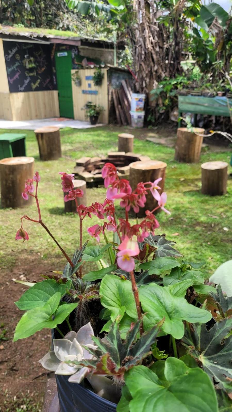 Ecohostel Dos Canyons Santa Catarina 프라이아 그란데 외부 사진