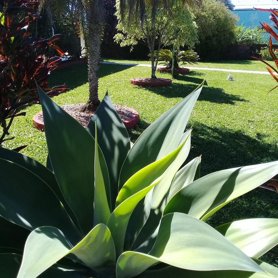 Ecohostel Dos Canyons Santa Catarina 프라이아 그란데 외부 사진